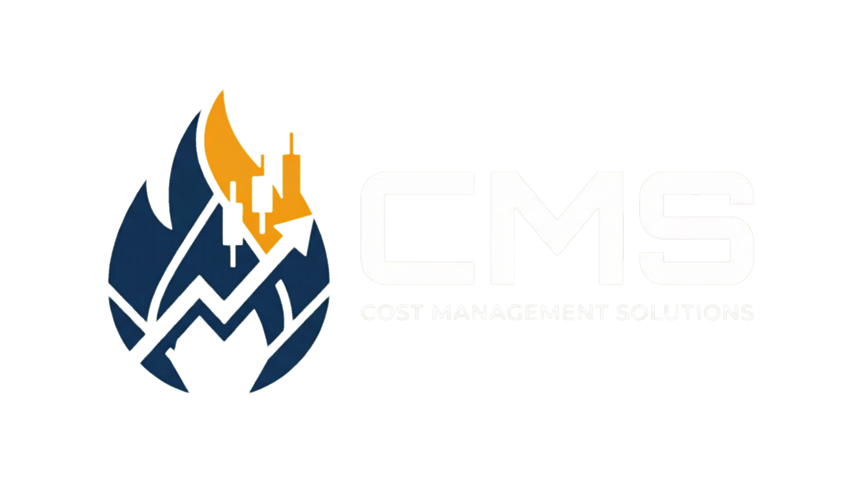 Cost Management Solutions